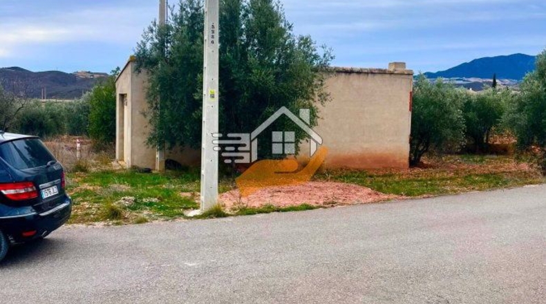 Almería - Vélez-Rubio - 20000m2