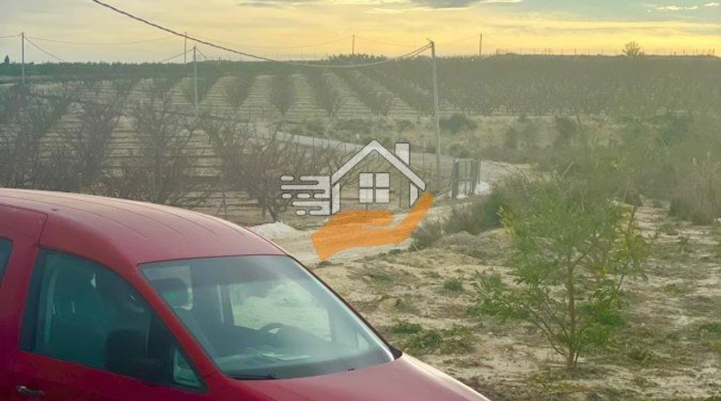 Murcia - Ceutí - 16000m2