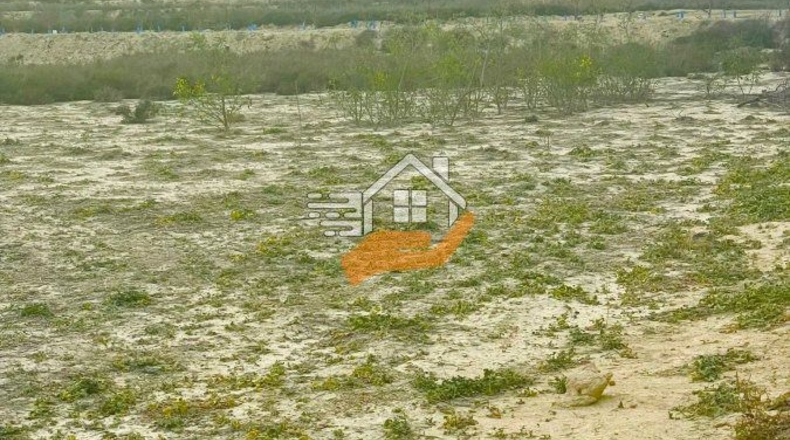 Murcia - Ceutí - 16000m2
