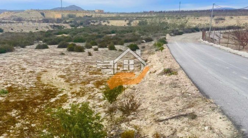 Murcia - Ceutí - 16000m2