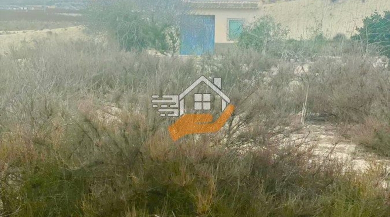 Murcia - Ceutí - 16000m2