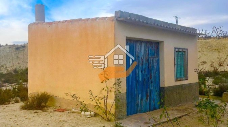 Murcia - Ceutí - 16000m2