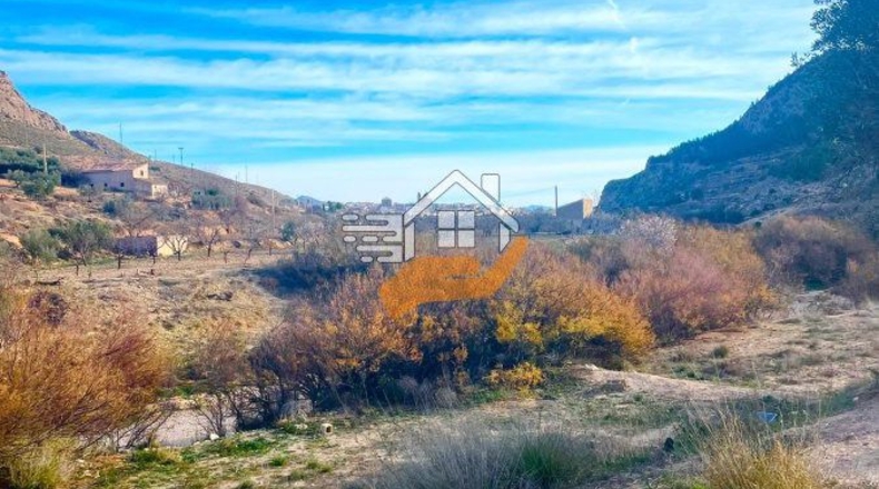 Almería - Vélez-Rubio - 3000m2