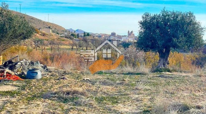 Almería - Vélez-Rubio - 3000m2