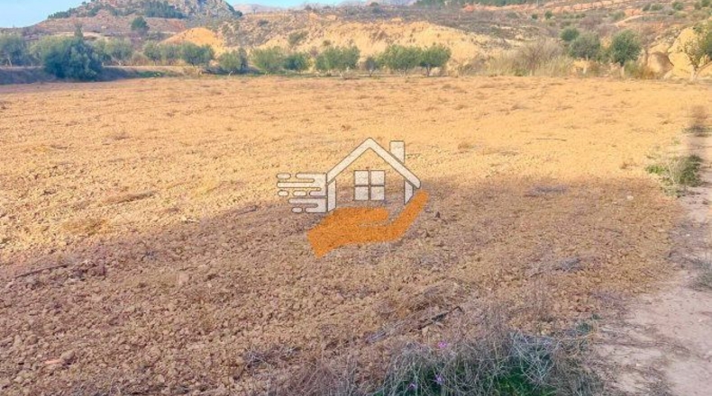 Almería - Vélez-Rubio - 3000m2
