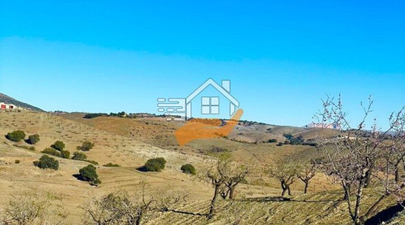 Almería - Vélez-Rubio - 23898m2