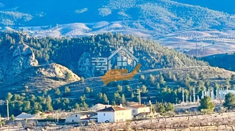 Almería - Vélez-Rubio - 10000m2