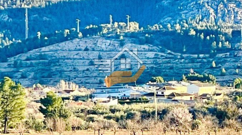 Almería - Vélez-Rubio - 10000m2