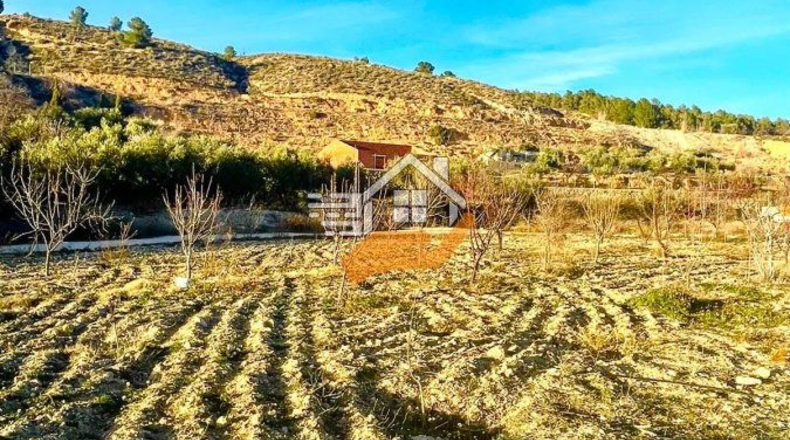Almería - Vélez-Rubio - 10000m2