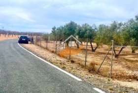 Favanella 3600&nbsp;m² 