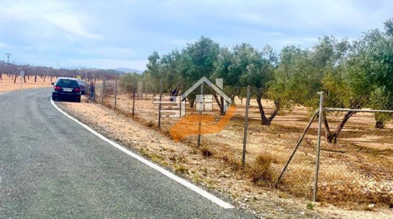 Murcia - Abanilla - 3600m2