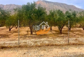 Favanella 3600&nbsp;m² 