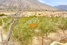 Favanella 3600&nbsp;m² 