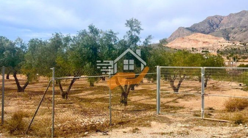 Murcia - Abanilla - 3600m2