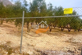 Favanella 3600&nbsp;m² 