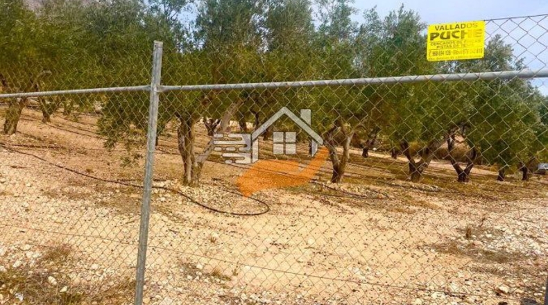 Murcia - Abanilla - 3600m2