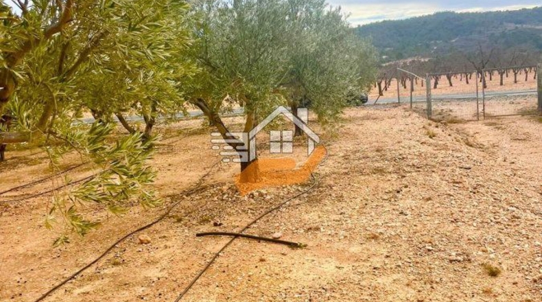 Murcia - Abanilla - 3600m2
