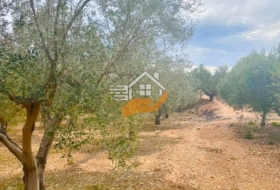 Favanella 3600&nbsp;m² 
