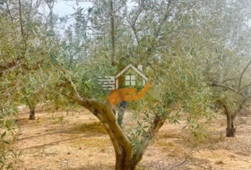 Favanella 3600&nbsp;m² 