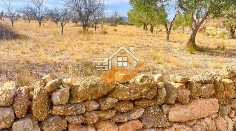 Murcia - Abanilla - 4000m2