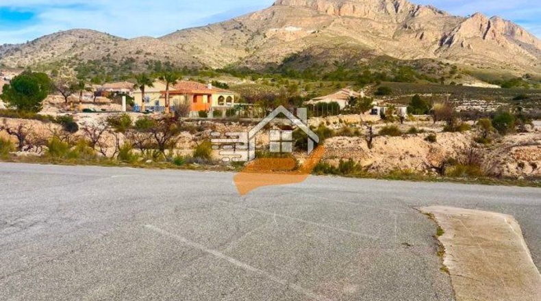 Murcia - Abanilla - 4000m2