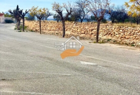Favanella 4000&nbsp;m² 