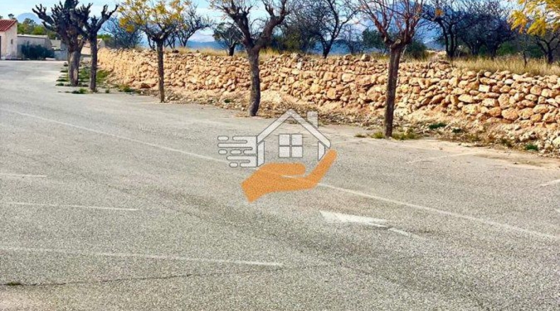 Murcia - Abanilla - 4000m2
