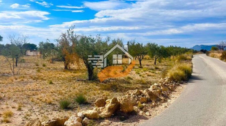 Murcia - Abanilla - 4000m2