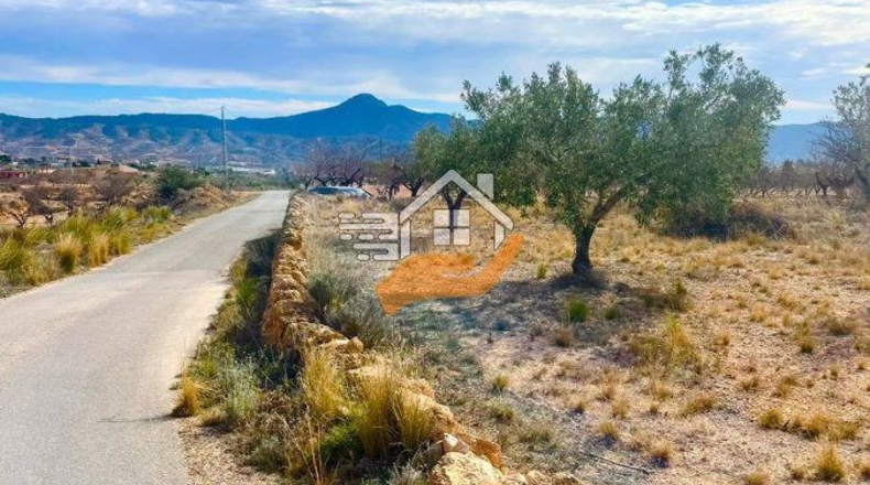 Murcia - Abanilla - 4000m2