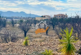 Favanella 3000&nbsp;m² 