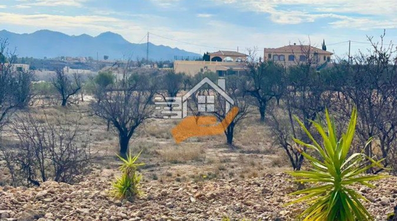 Murcia - Abanilla - 3000m2