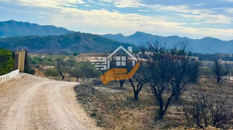 Murcia - Abanilla - 3000m2