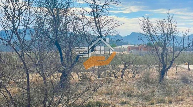 Murcia - Abanilla - 3000m2