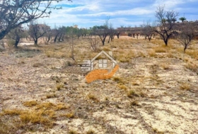 Favanella 3000&nbsp;m² 