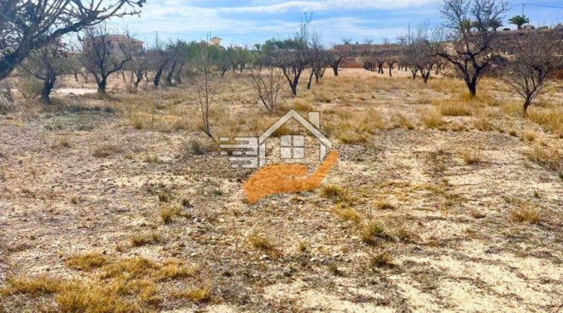 Murcia - Abanilla - 3000m2