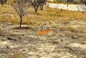 Favanella 3000&nbsp;m² 