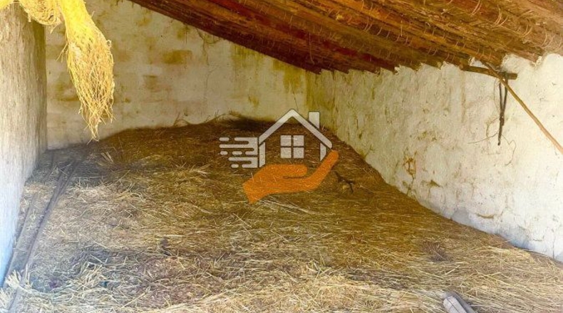 Almería - Велес-Бланко - 25000m2