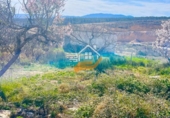 Rural estate for sale in Vélez-Blanco ref: TR262576 photo