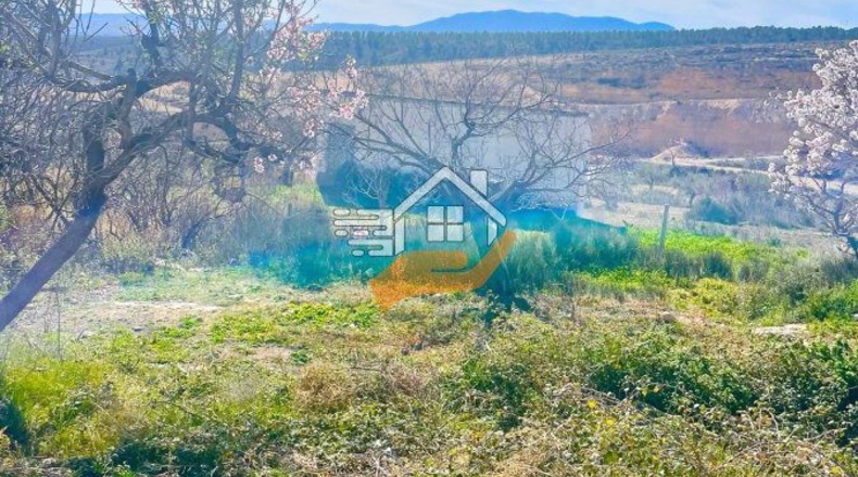 Almería - Велес-Бланко - 25000m2