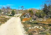 Rural estate for sale in Vélez-Blanco ref: TR262576 photo