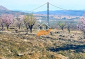 Rural estate for sale in Vélez-Blanco ref: TR262576 photo