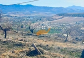 Rural estate for sale in Vélez-Blanco ref: TR262576 photo