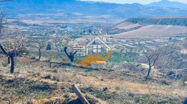 Almería - Велес-Бланко - 25000m2