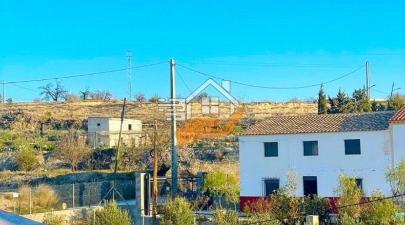 Almería - Vélez-Rubio - 1000m2