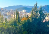Chalet independiente con terreno en venta en Vélez-Rubio ref: TR253729 foto