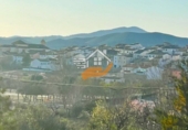 Chalet independiente con terreno en venta en Vélez-Rubio ref: TR253729 foto