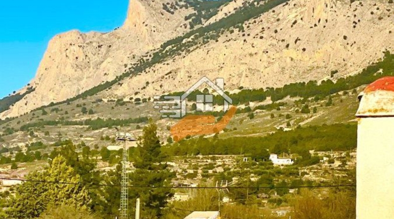 Almería - Vélez-Rubio - 1000m2