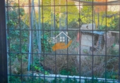 Chalet independiente con terreno en venta en Vélez-Rubio ref: TR253729 foto