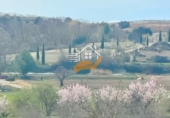 Rural estate for sale in Chirivel ref: TR264608 photo