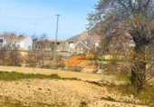 Rural estate for sale in Chirivel ref: TR264608 photo